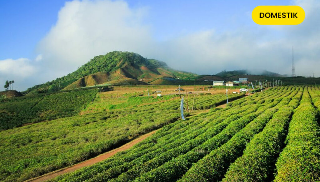 Tour Makassar – Malino 4D3N