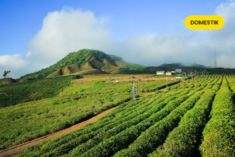 Tour Makassar – Malino 4D3N